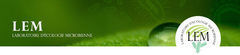 lem-banner02.jpg